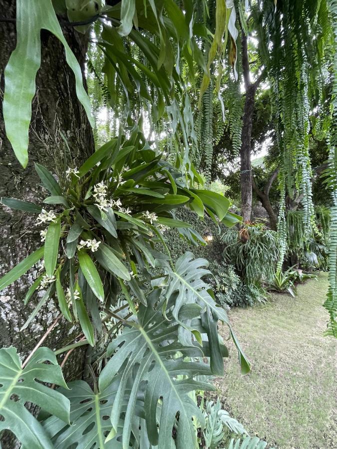 Iguanazu Bed & Breakfast 과야킬 외부 사진